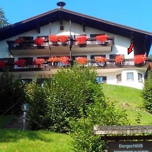  Apartment Ferienwohnanlage Bergschlößl Nr18